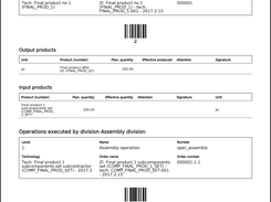 Work Plan Module - Work instructions generated document