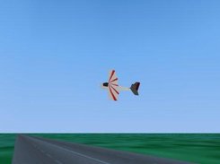 flexifly_xlm, one of the model in this program