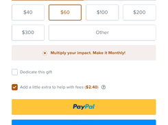 Bloomerang Fundraising’s donation form