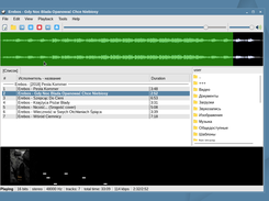 qmmp Screenshot 6
