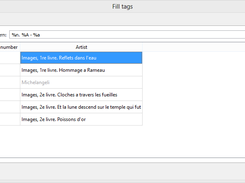 Tags Filling dialog