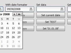 datefield sample