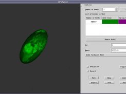 QPolymer-beta: working with FENE-P