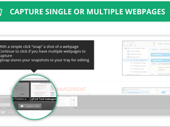 Capture Single or Multiple Webpages