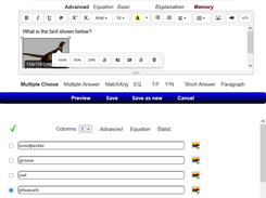 Quiz/Survey/Test - QST Screenshot 6
