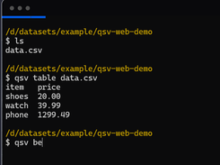 QSV Screenshot 1