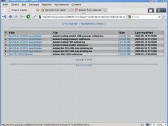 Qt-FtpSearcher Web UI in Opera (/ftp/find)