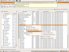 Main work-Dialog from WebDav Explorer on Linux