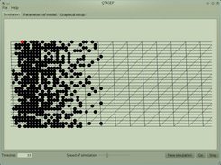 Correlated TASEP on braid structures