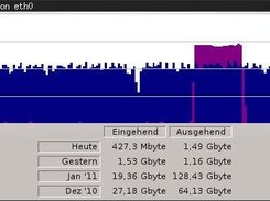 qtnicstat on wmii (german)