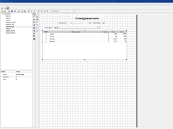 QtRptDocument Screenshot 1