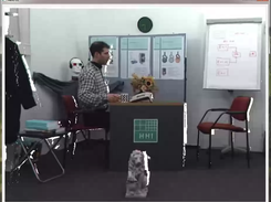 Playing the book-arrival sequence