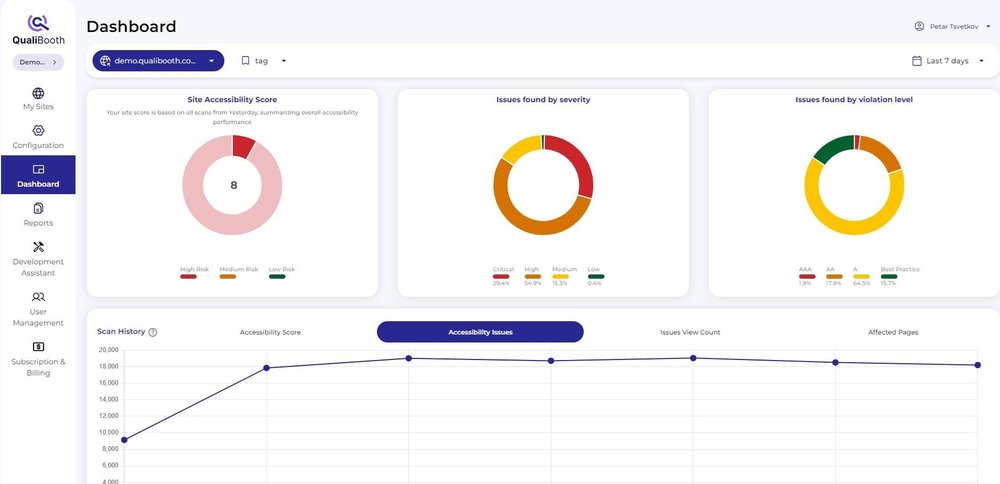 The dashboard provides an overview of accessibility metrics for easy tracking and report access