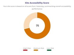 Accessibility Score provides real time insights