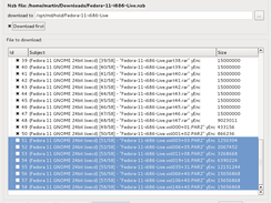 Selected files to download from nzb