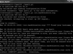 Starting up the bot.