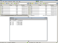 6. diskinfo.txt giving names and sizes of disk partitions available on your system