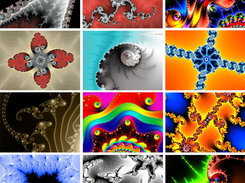 Sample Images
