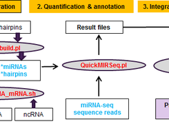 QuickMIRSeq Screenshot 1
