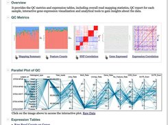 Interactive Report