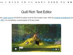 Quill Rich Text Editor