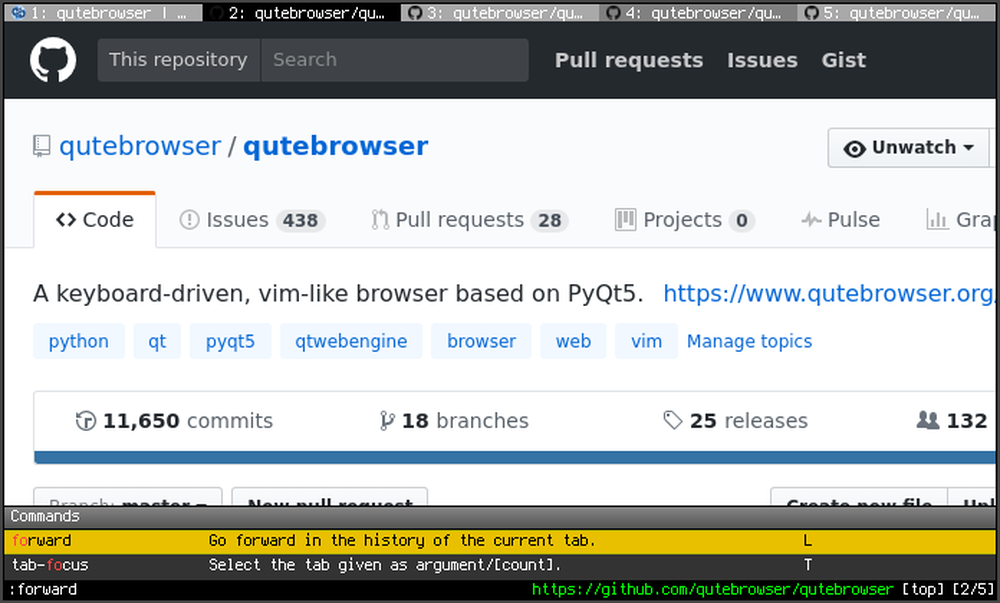 qutebrowser Screenshot 1