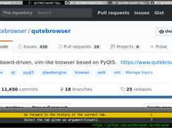 qutebrowser Screenshot 1