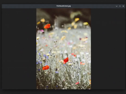 qView Screenshot 1