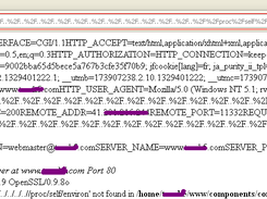 LFI option vuln