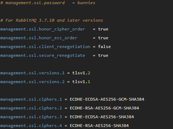 RabbitMQ Server Screenshot 1