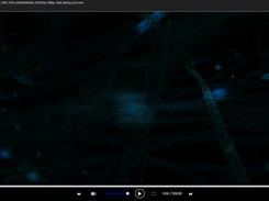 While the Video is Playing