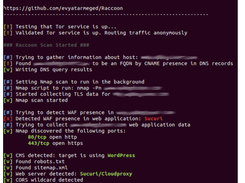 Raccoon Screenshot 1