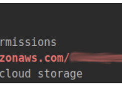 Raccoon Screenshot 2