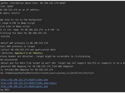 Raccoon Screenshot 3