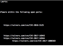 Raccoon Screenshot 4