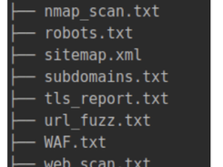 Raccoon Screenshot 5