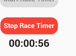 App Race Screen
