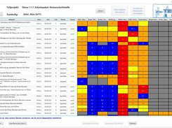 RACI Matrix