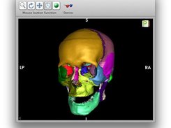 3D view of meshes (Here skull osteology)