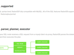 RadonDB Screenshot 1