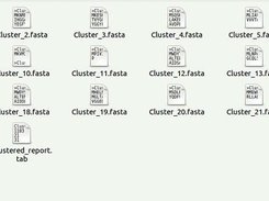 RAFTS3G outputs using 'test.fa file'