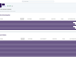 Web visitor tracking