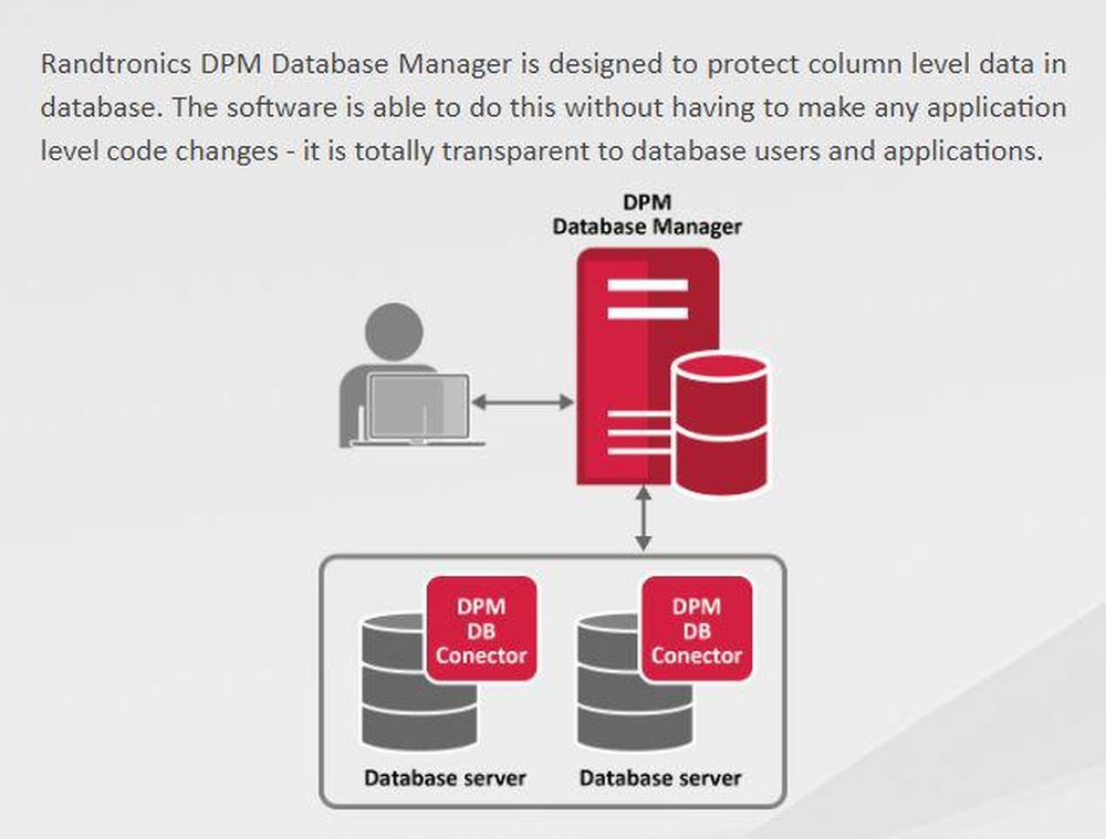 Randtronics DPM Database Manager Screenshot 1