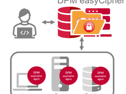 Randtronics DPM easyCipher Screenshot 1