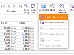 Ranet OLAP Screenshot 3