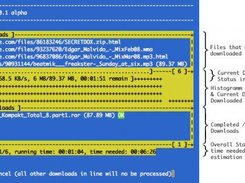 explain the display on workin rapidDownload