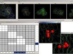 RasCtrls are embedded to  MotifSpace Client.