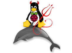 jonixlug_raspberry