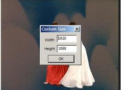 custum size selection dialog