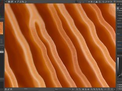 RawTherapee Screenshot 1